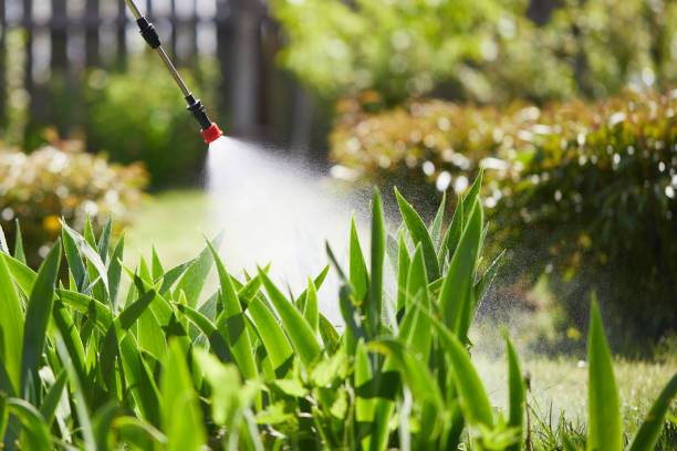 24/7 Emergency Mosquito Control experts in Surf City, NJ